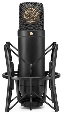 Best Microphones for Home Studio 2021 - HomeStudioToday